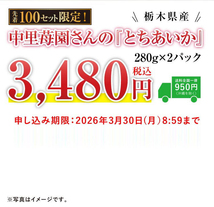 【産地直送】中里苺園さんの『とちあいか』（栃木県産）