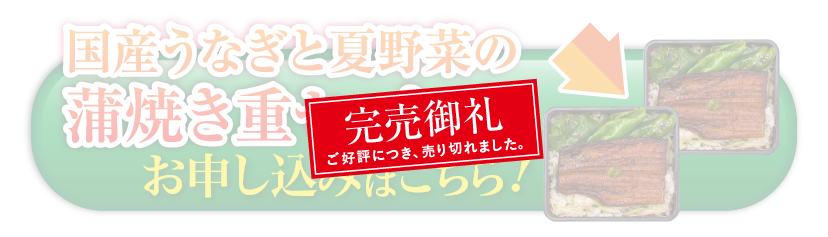 【7/26は土用の丑の日】国産うなぎと夏野菜の蒲焼き重セット