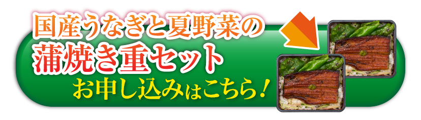 【7/26は土用の丑の日】国産うなぎと夏野菜の蒲焼き重セット