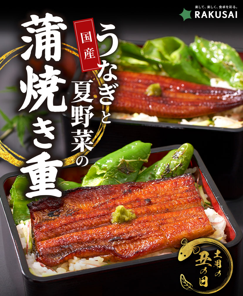 【7/26は土用の丑の日】国産うなぎと夏野菜の蒲焼き重セット