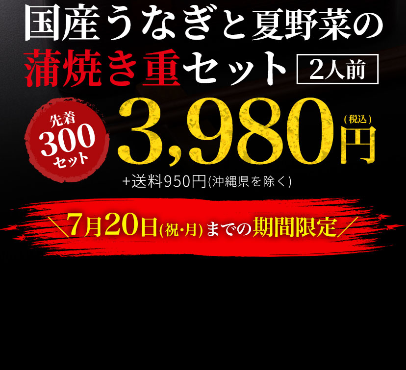 【7/26は土用の丑の日】国産うなぎと夏野菜の蒲焼き重セット