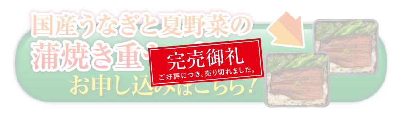 【ご好評につき20セット限定販売】国産うなぎと夏野菜の蒲焼き重セット