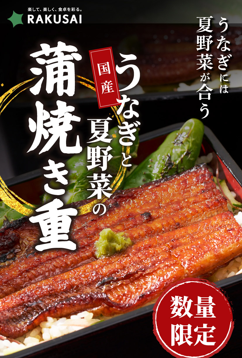 【ご好評につき20セット限定販売】国産うなぎと夏野菜の蒲焼き重セット