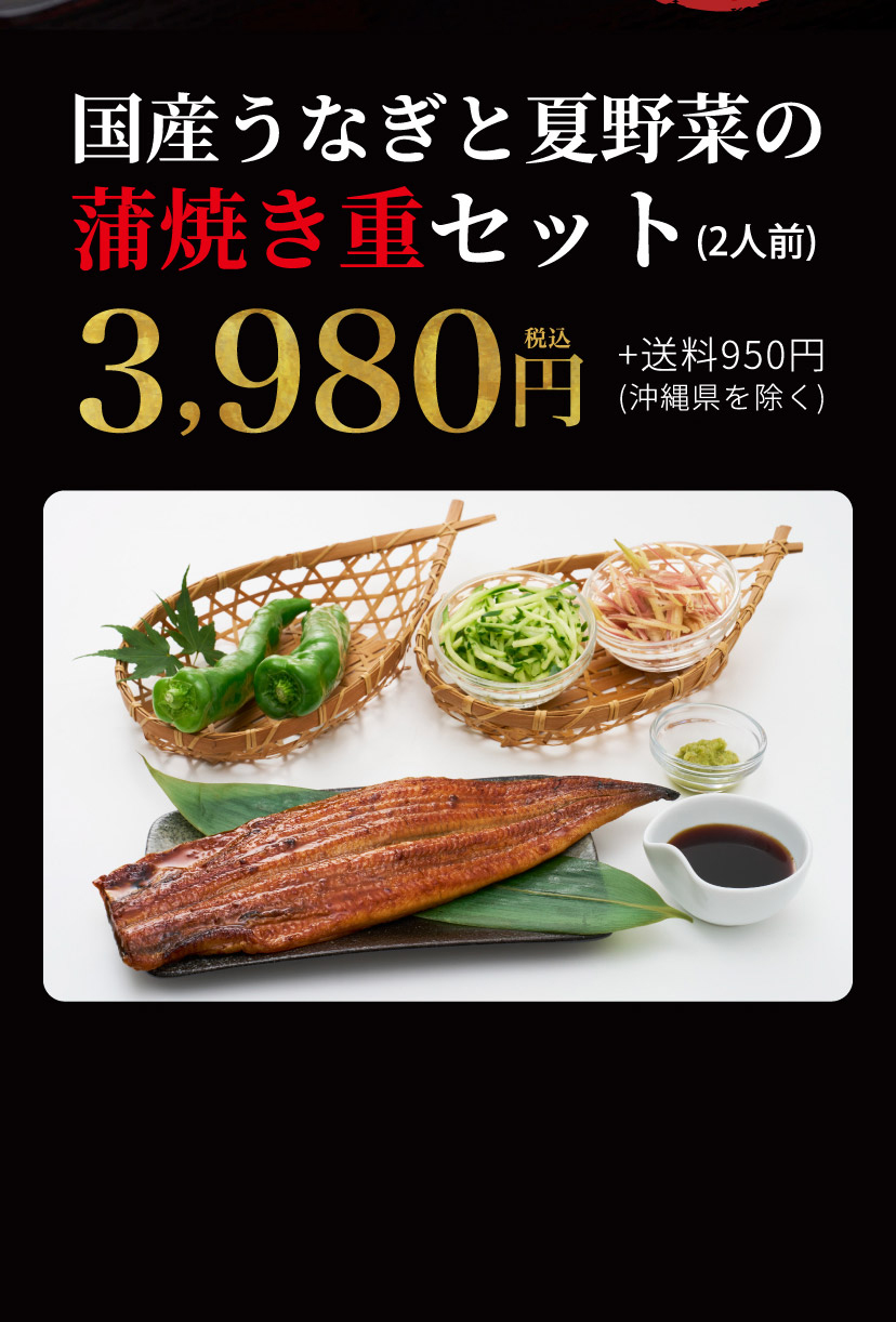 【ご好評につき20セット限定販売】国産うなぎと夏野菜の蒲焼き重セット