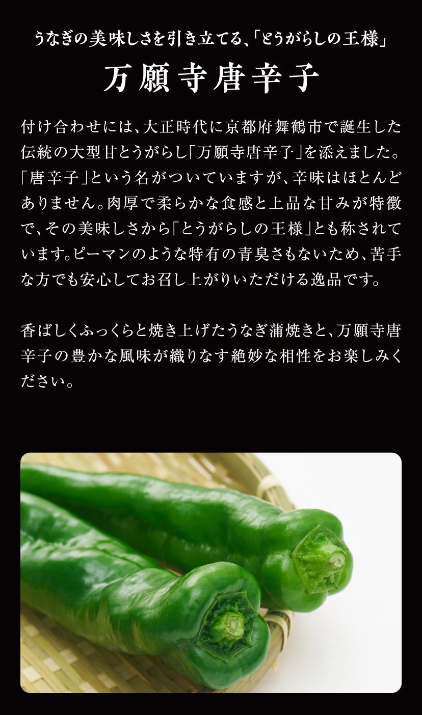 【ご好評につき20セット限定販売】国産うなぎと夏野菜の蒲焼き重セット