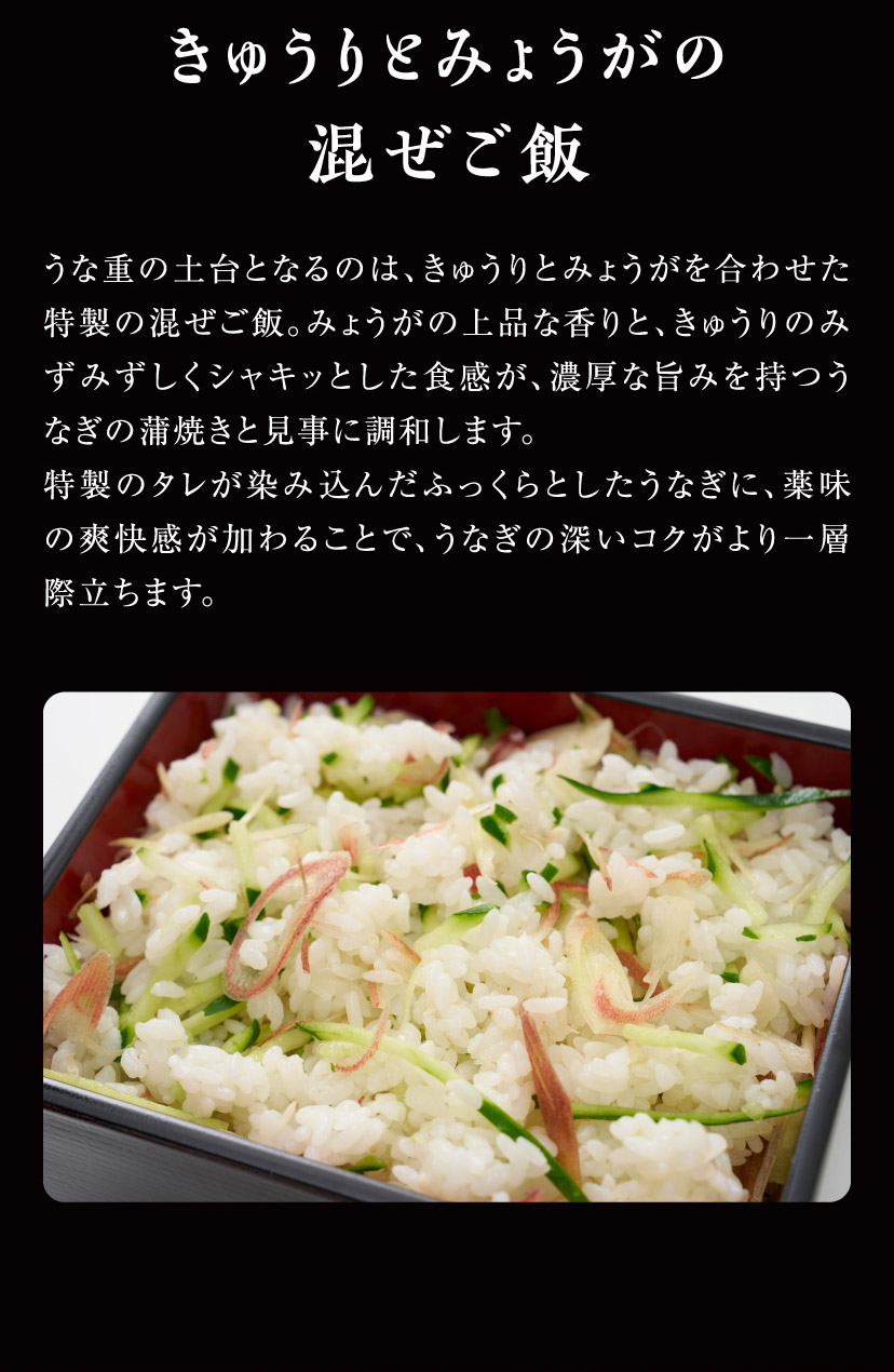 【ご好評につき20セット限定販売】国産うなぎと夏野菜の蒲焼き重セット