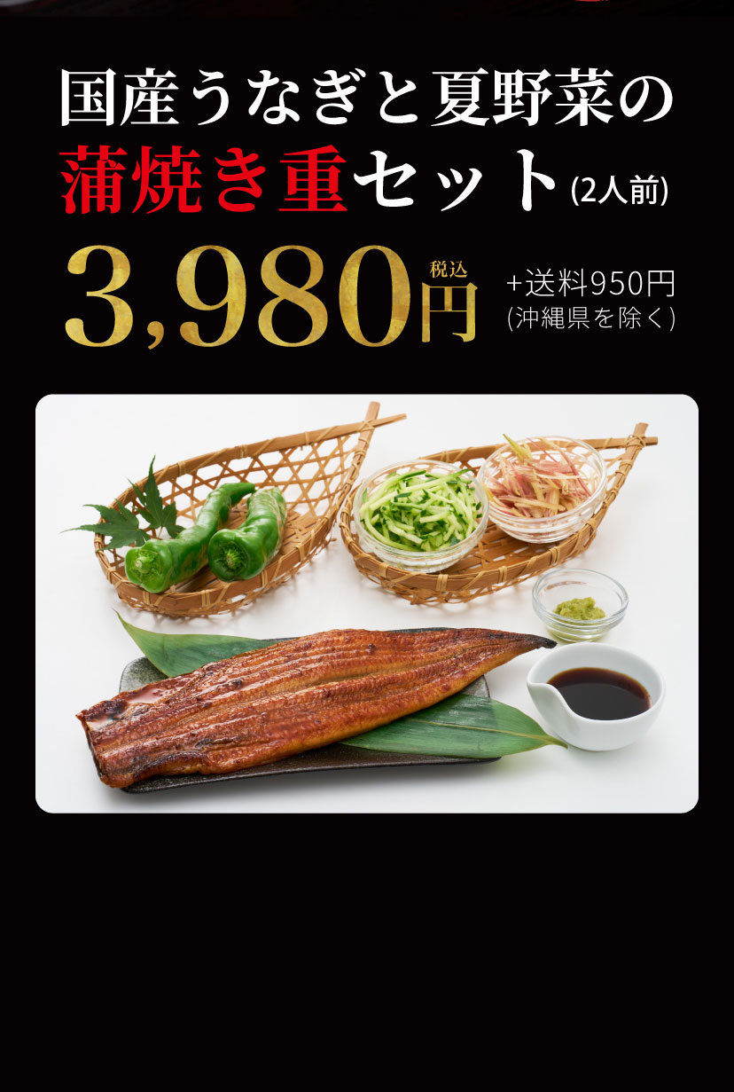 【ご好評につき20セット限定販売】国産うなぎと夏野菜の蒲焼き重セット