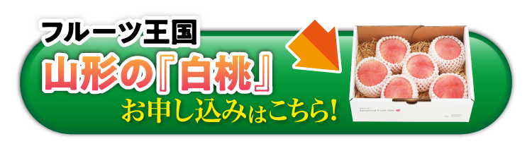 【産地直送】フルーツ王国・山形が誇る『白桃』（山形県産）