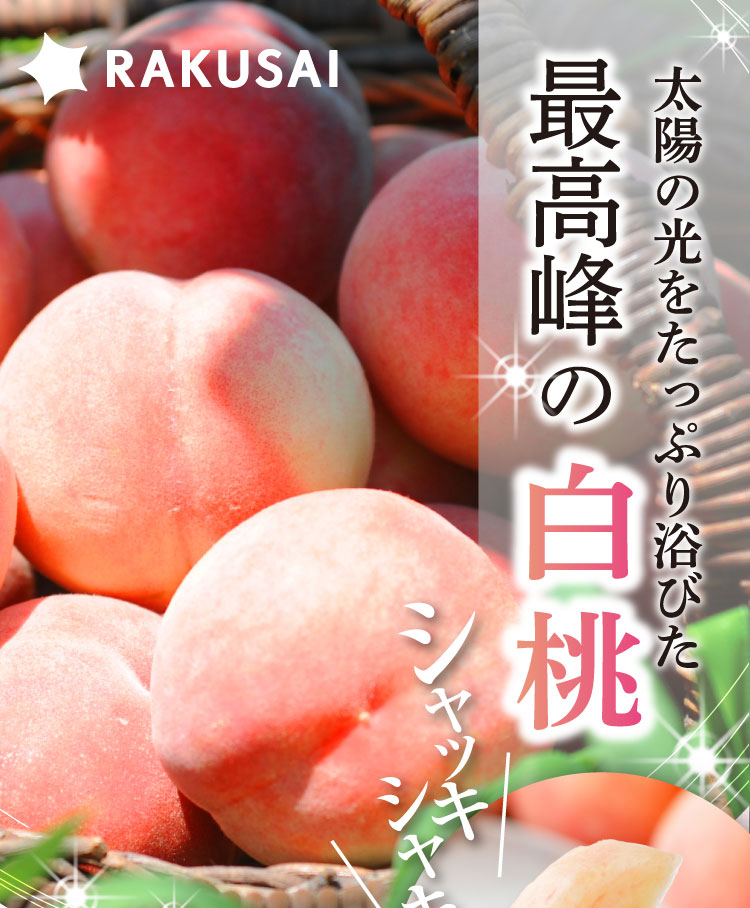 【産地直送】フルーツ王国・山形が誇る『白桃』（山形県産）