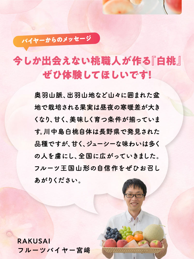 【産地直送】フルーツ王国・山形が誇る『白桃』（山形県産）