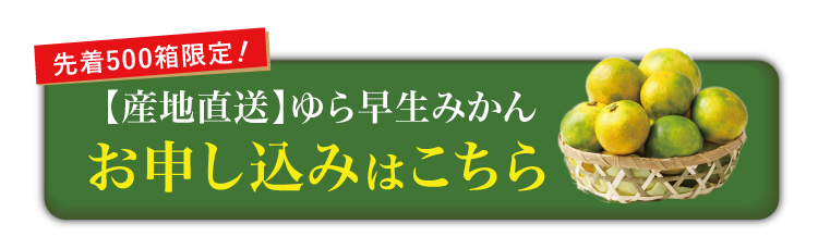 【産地直送】フジカワ果樹園さんのゆら早生みかん（香川県産）