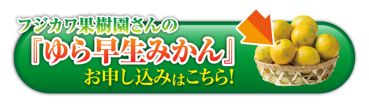 【産地直送】フジカワ果樹園さんの『ゆら早生みかん』（香川県産）