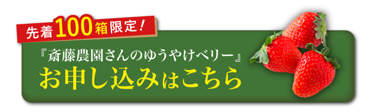 【産地直送】斎藤農園さんの『ゆうやけベリー』（福島県産）