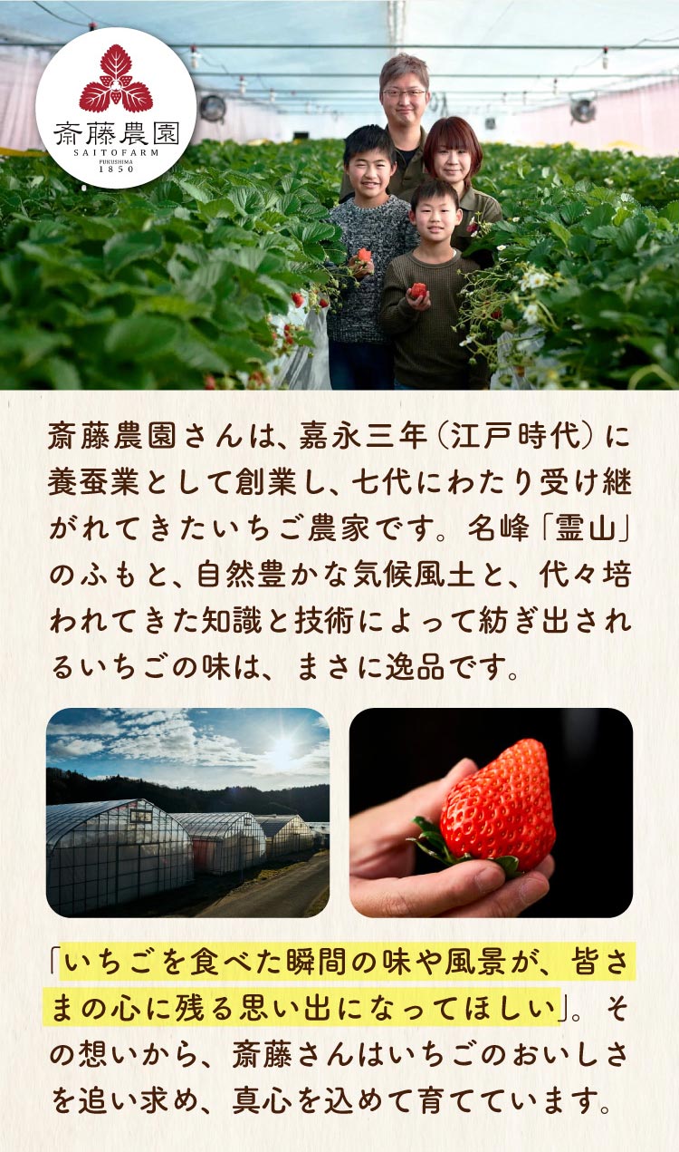 【産地直送】斎藤農園さんの『ゆうやけベリー』（福島県産）