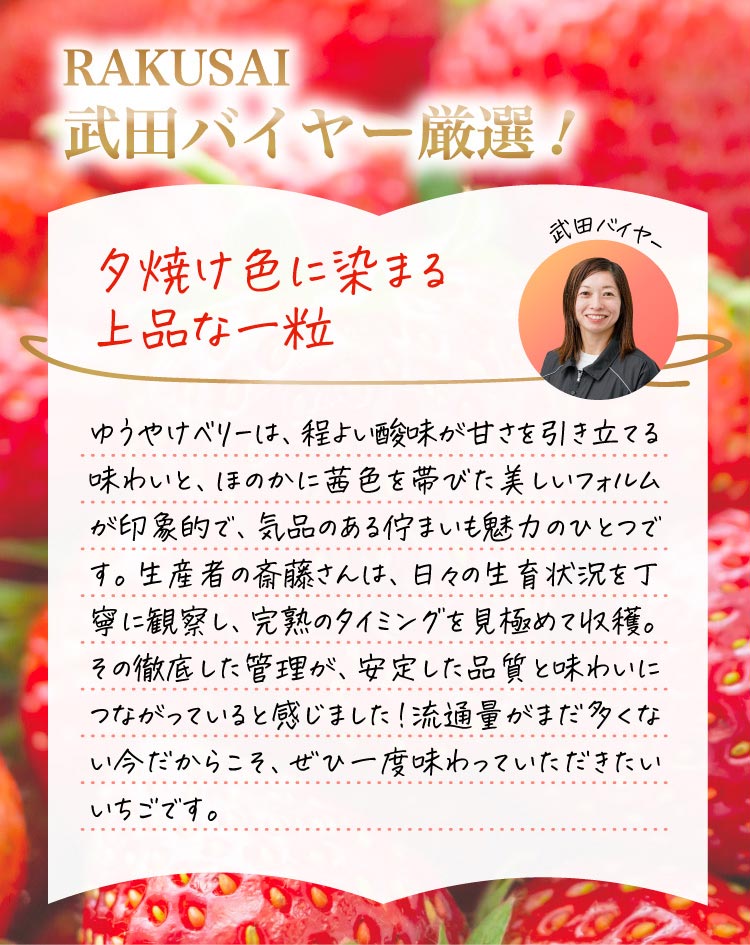 【産地直送】斎藤農園さんの『ゆうやけベリー』（福島県産）