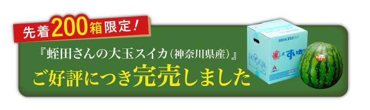 【産地直送】蛭田さんの大玉スイカ『夏のぜいたく』（神奈川県産）