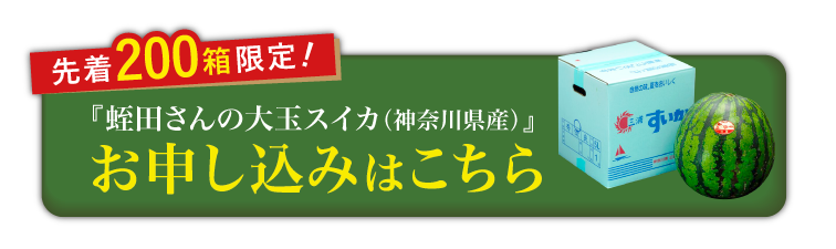 【産地直送】蛭田さんの大玉スイカ『夏のぜいたく』（神奈川県産）