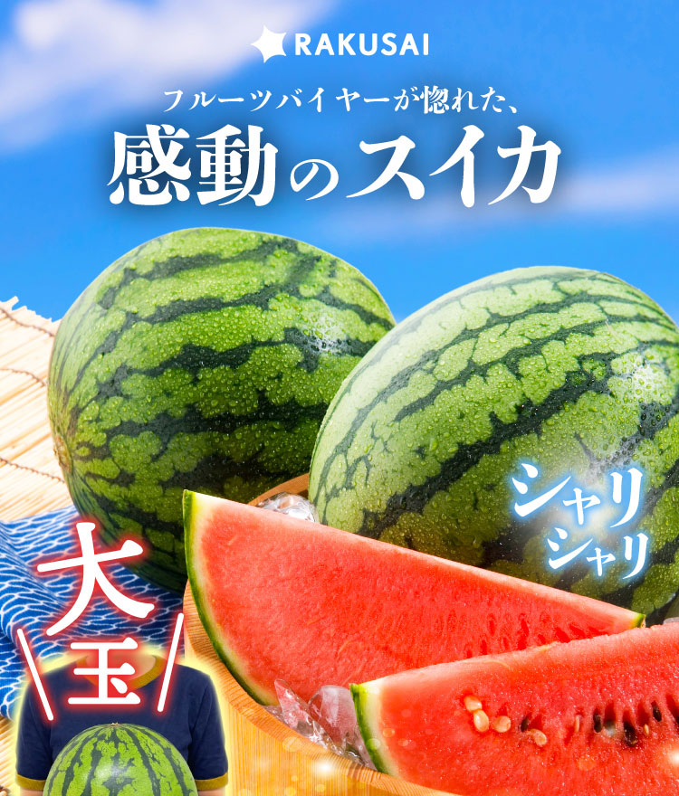 【産地直送】蛭田さんの大玉スイカ『夏のぜいたく』（神奈川県産）