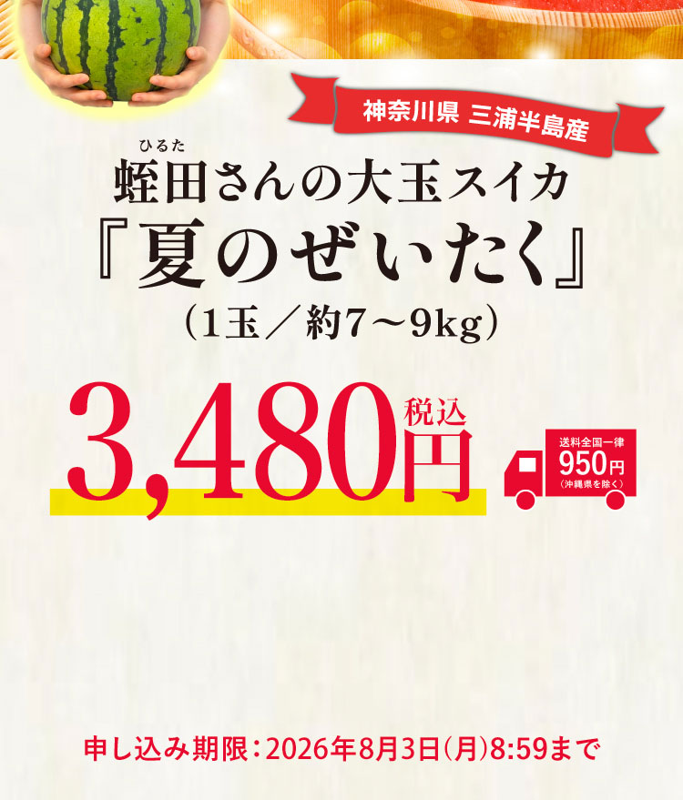 【産地直送】蛭田さんの大玉スイカ『夏のぜいたく』（神奈川県産）