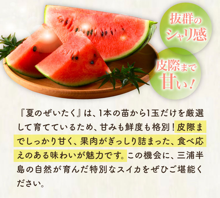【産地直送】蛭田さんの大玉スイカ『夏のぜいたく』（神奈川県産）