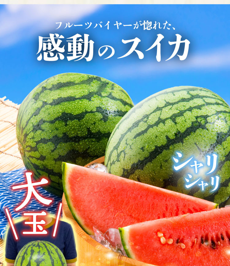 【産地直送】蛭田さんの大玉スイカ『夏のぜいたく』（神奈川県産）