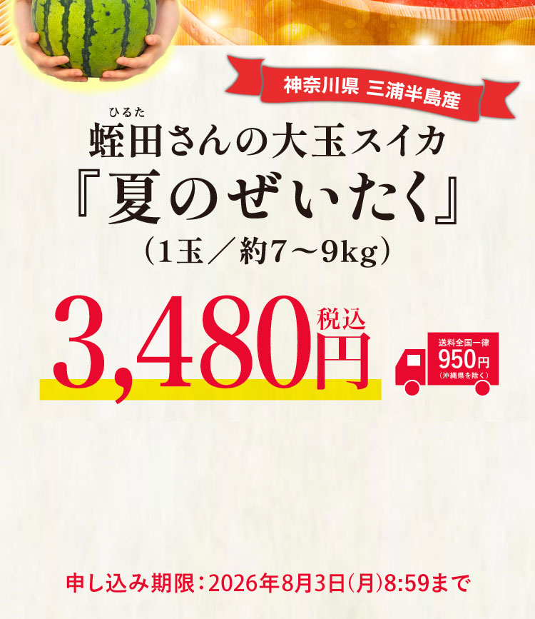 【産地直送】蛭田さんの大玉スイカ『夏のぜいたく』（神奈川県産）
