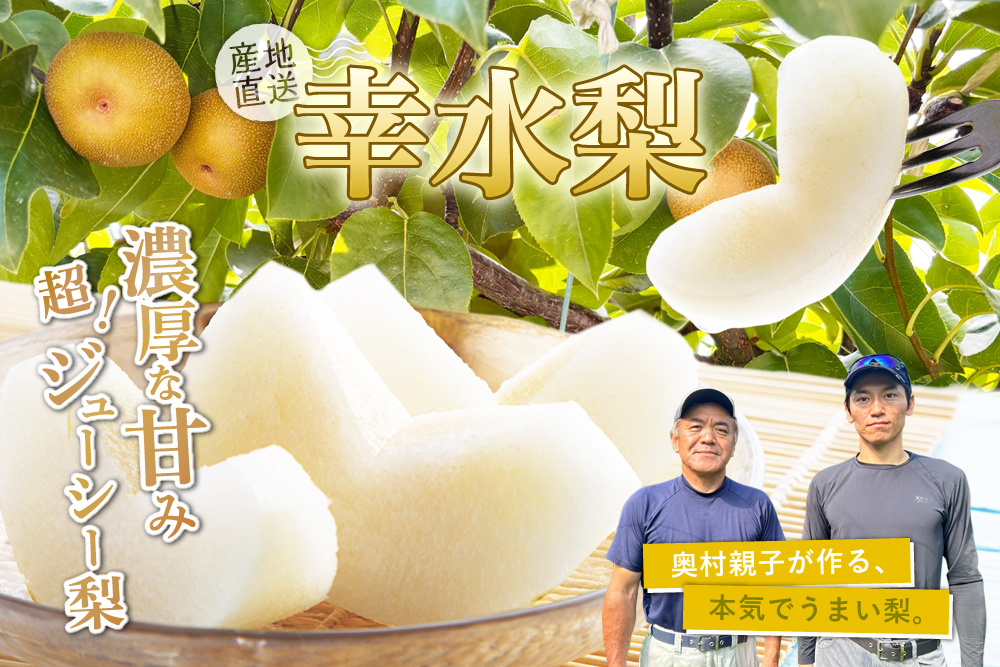 【産地直送】ファーム・オクムラさんの幸水梨（石川県産）