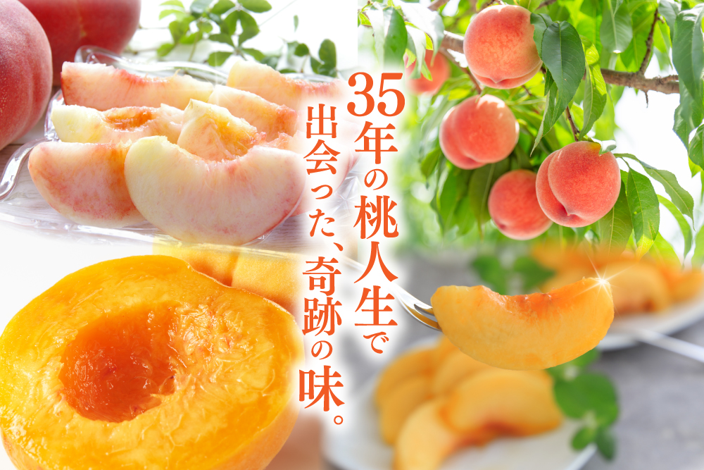 【産地直送】森果樹園さんの食べ比べ 黄金桃＆白桃セット（福島県産）