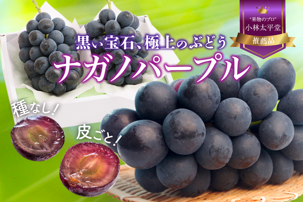 【産地直送】ナガノパープル 2房（長野県産）