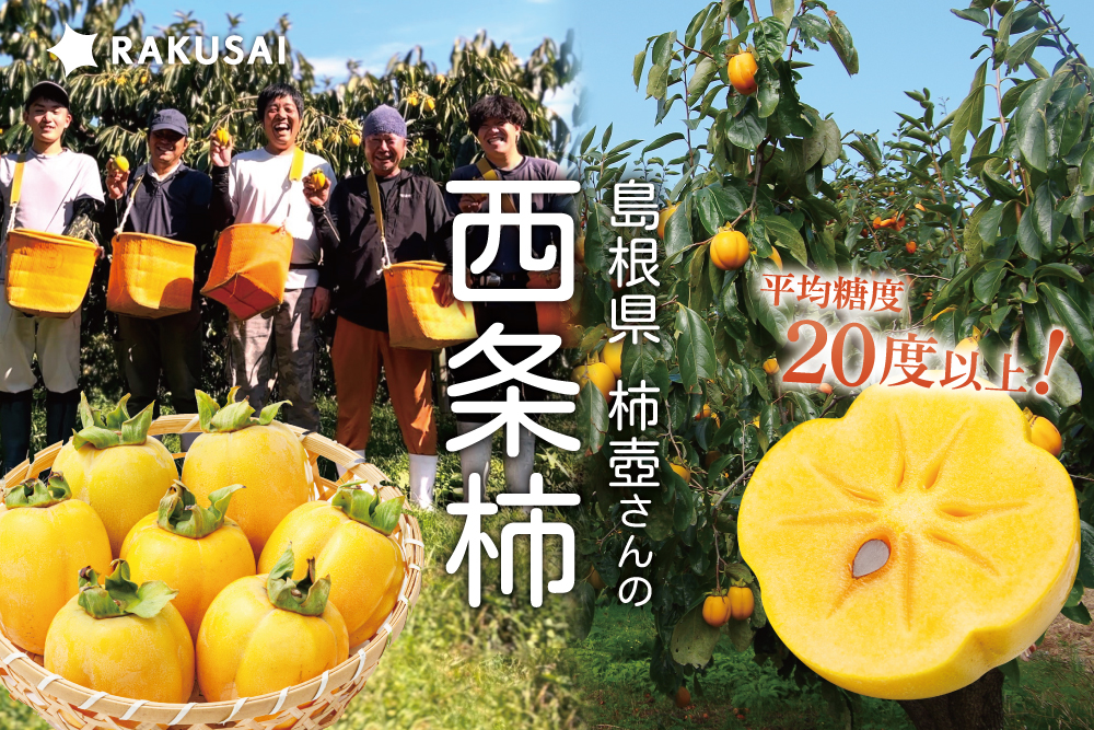 【産地直送】柿壺さんの西条柿 約2.5㎏（島根県産）