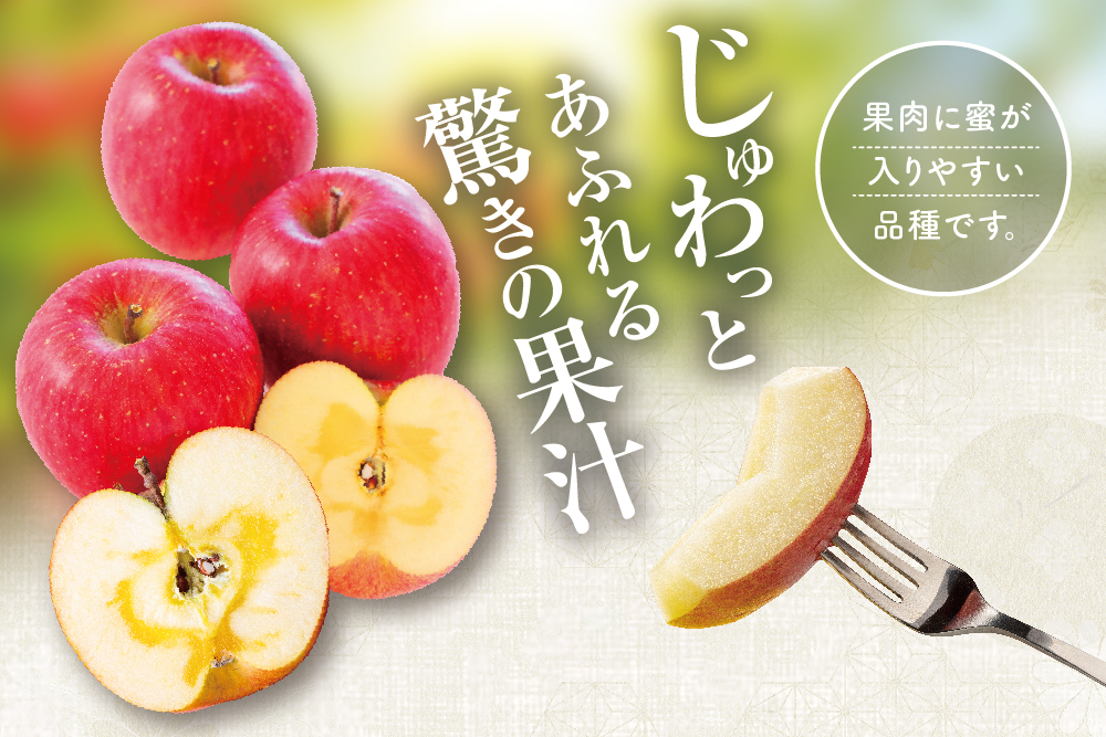 【バイヤー厳選】希少な品種 こうとくりんご（青森県産）