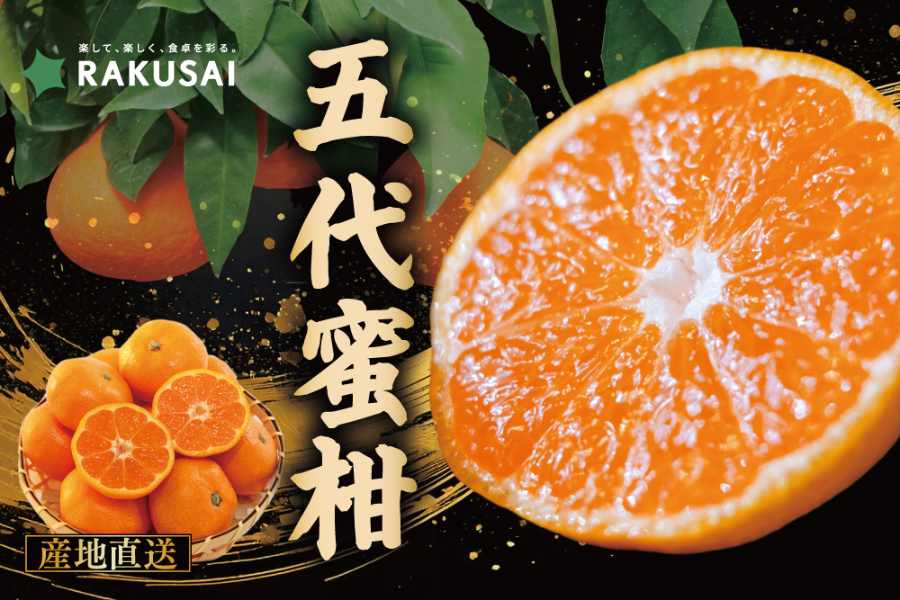 【産地直送】新口農園さんが育てた五代蜜柑（愛媛県産）