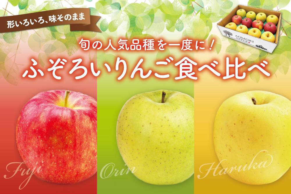 【産地直送】ふぞろいりんご食べ比べセット（青森県産）