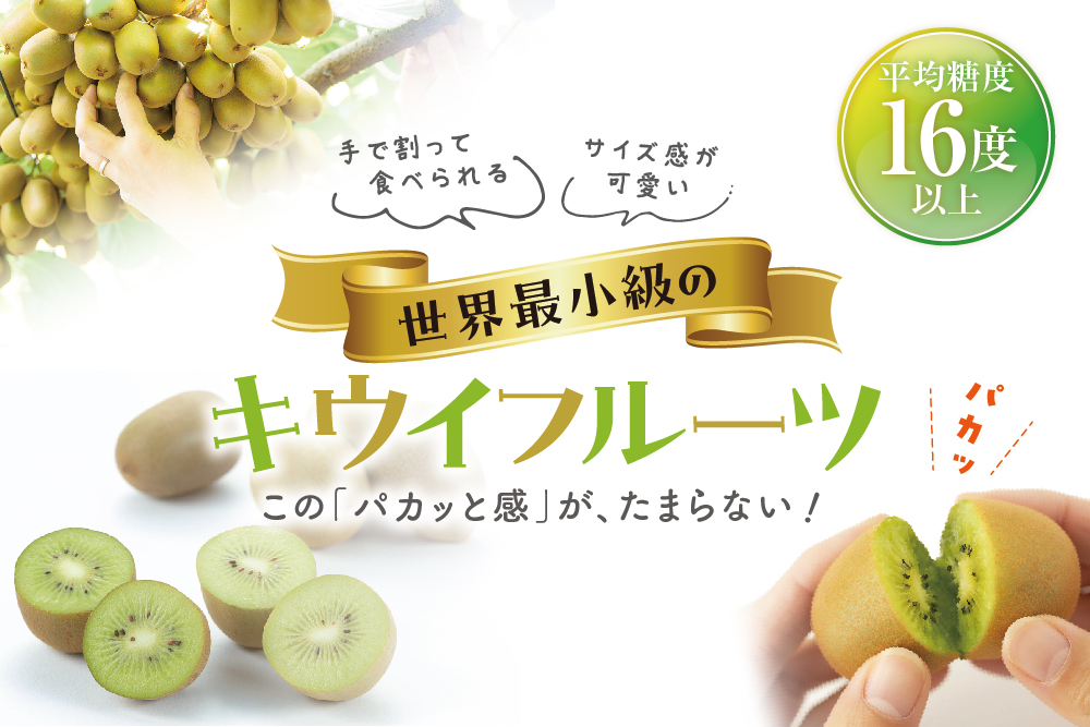 【産地直送】キウイバードさんが作ったキウイのたまご（愛媛県産）