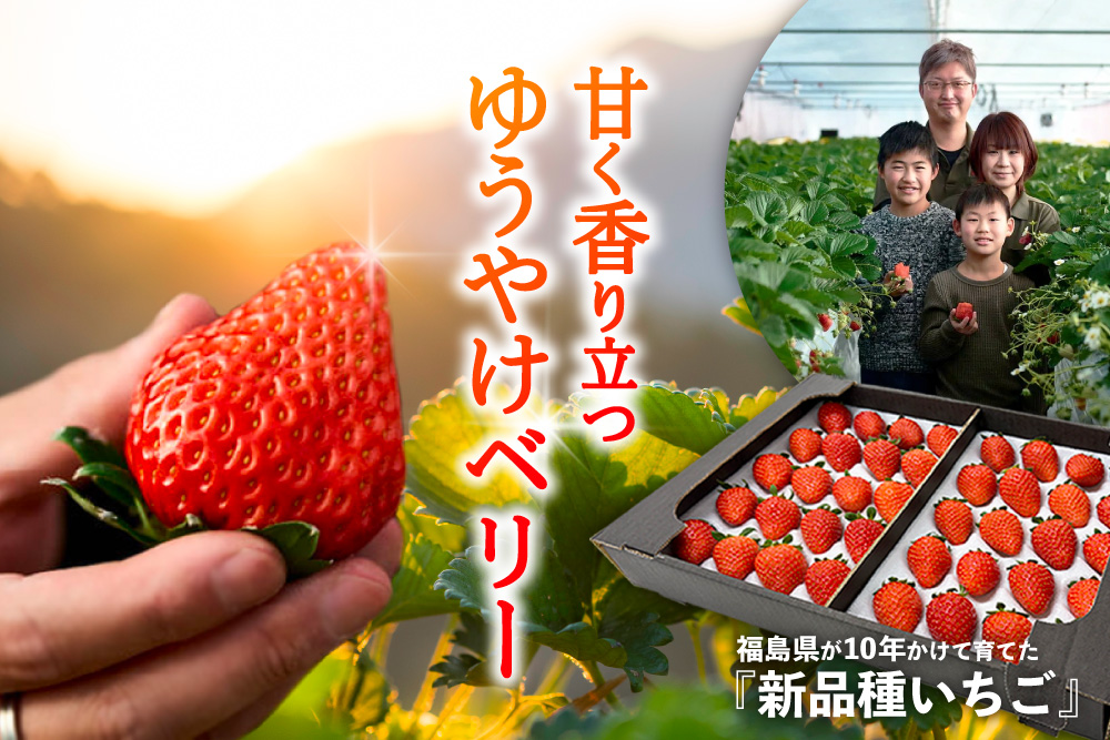 【産地直送】斎藤農園さんの『ゆうやけベリー』（福島県産）