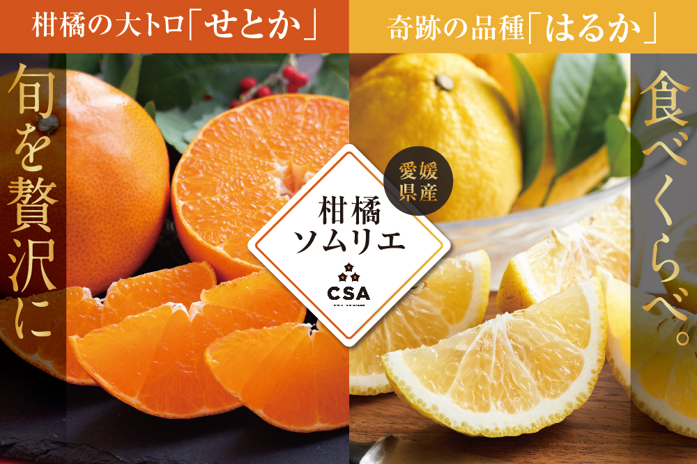 【産地直送】斎藤農園さんの『ゆうやけベリー』（福島県産）