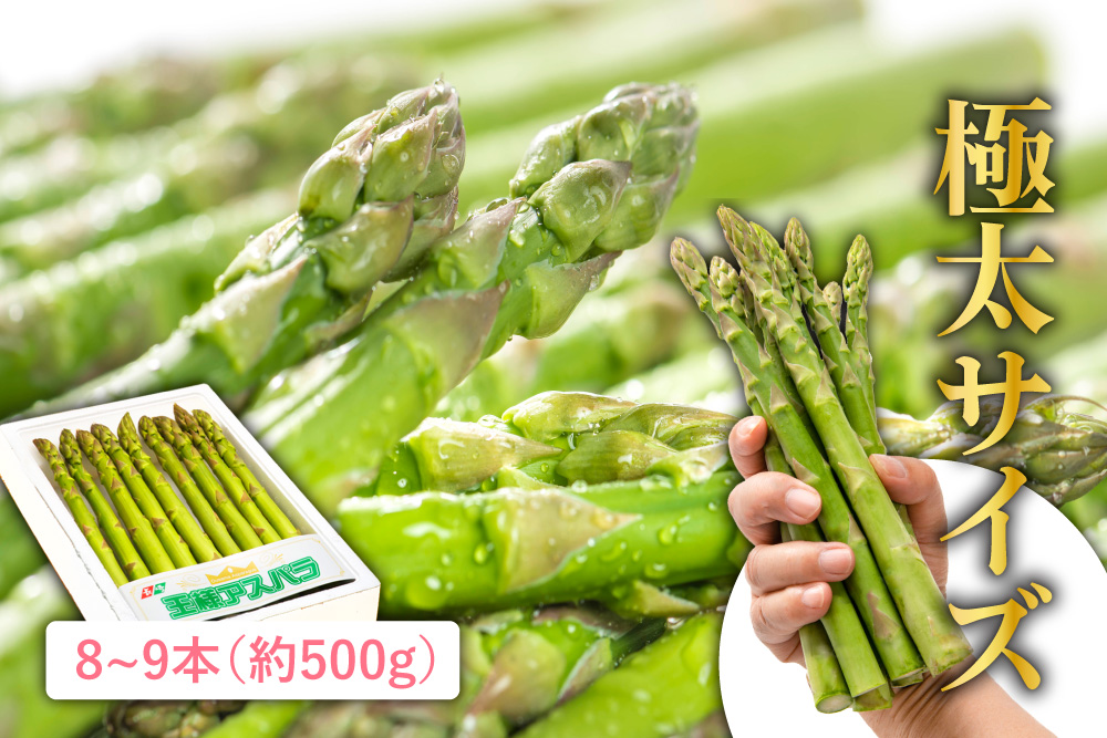 【先着10箱限定】驚きのサイズ感！『王様アスパラ』（長崎県産）