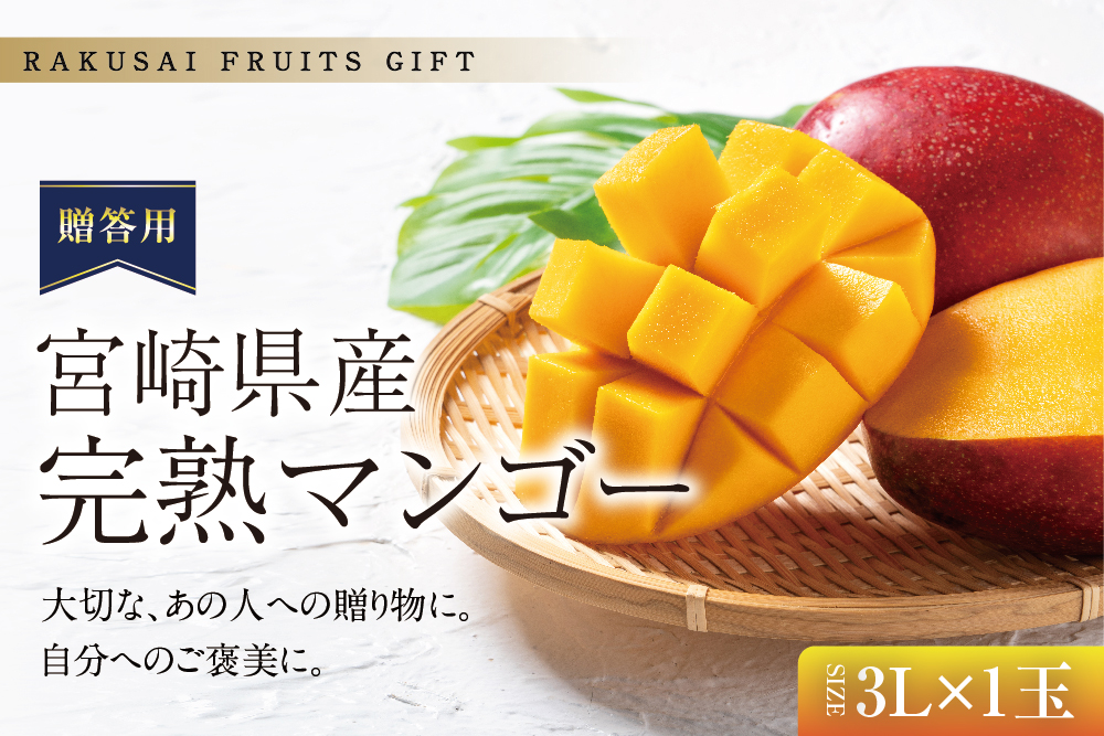 【母の日限定】贈答用 完熟マンゴー（宮崎県産）