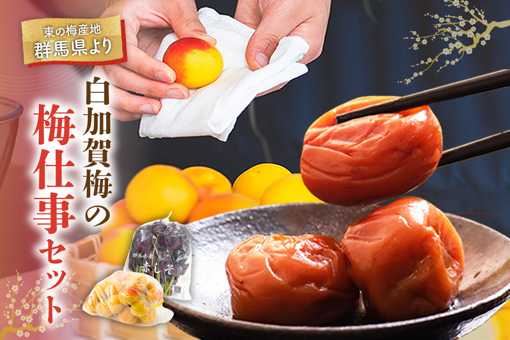 白加賀梅の『梅仕事セット』（群馬県産）
