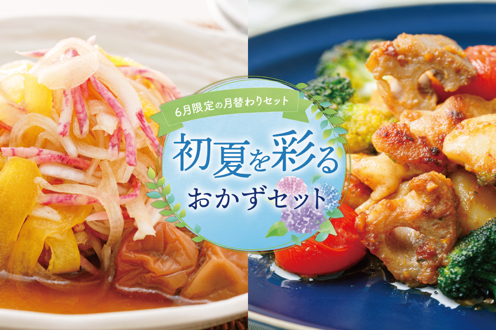 【6月限定の月替わりセット】初夏を彩るおかずセット