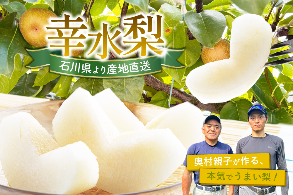 【産地直送】自然栽培にこだわった 奥村さんの『幸水梨』（石川県産）