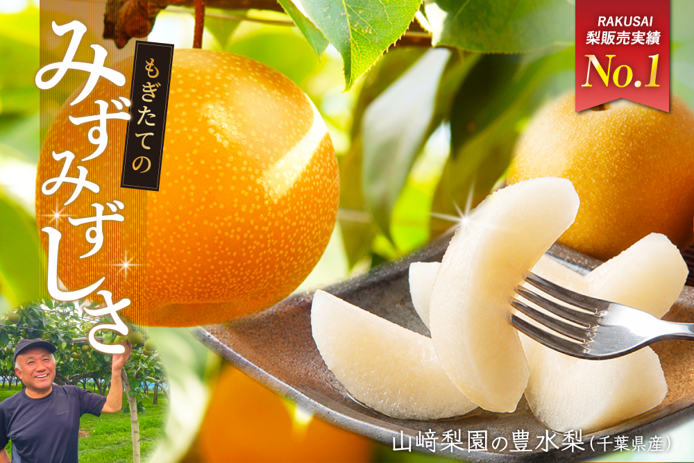 【バイヤー厳選】究極のみずみずしさ 山﨑梨園の『豊水梨』（千葉県産）
