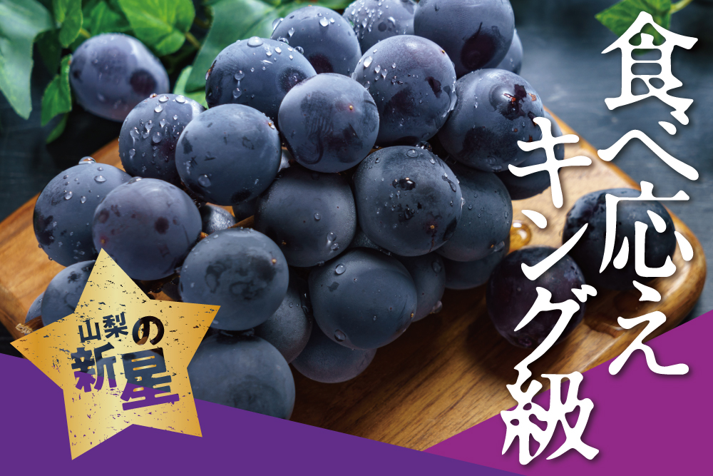 【バイヤー厳選】大粒ぶどう『甲斐キング』（山梨県産）
