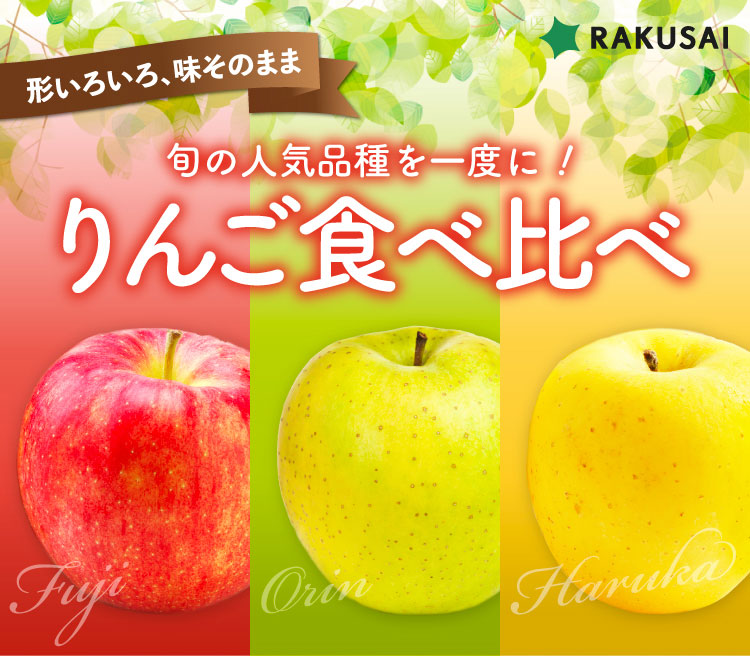 【産地直送】ふぞろいりんご食べ比べセット（青森県産）