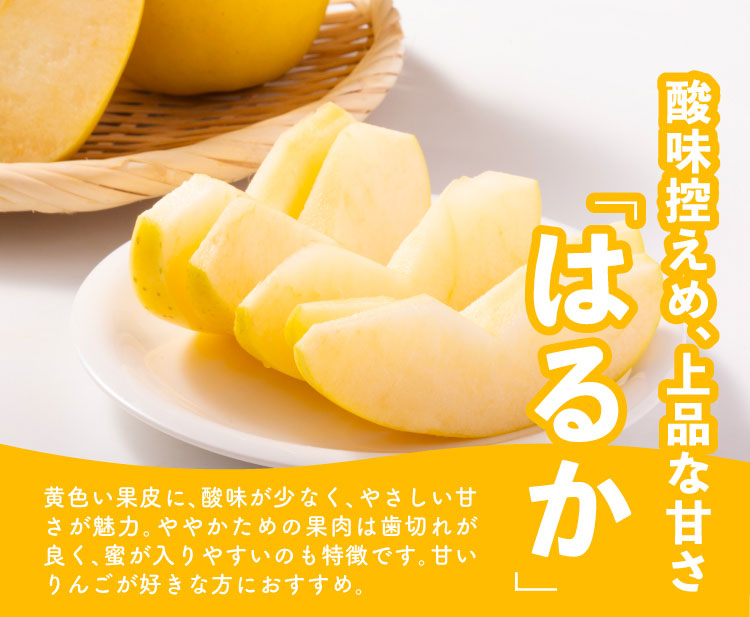 【産地直送】ふぞろいりんご食べ比べセット（青森県産）