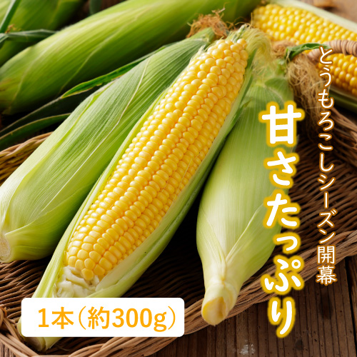 富良野のメロン（北海道産）の商品写真