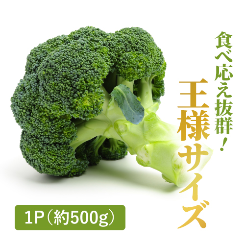 アムさんメロン（青森県産）の商品写真