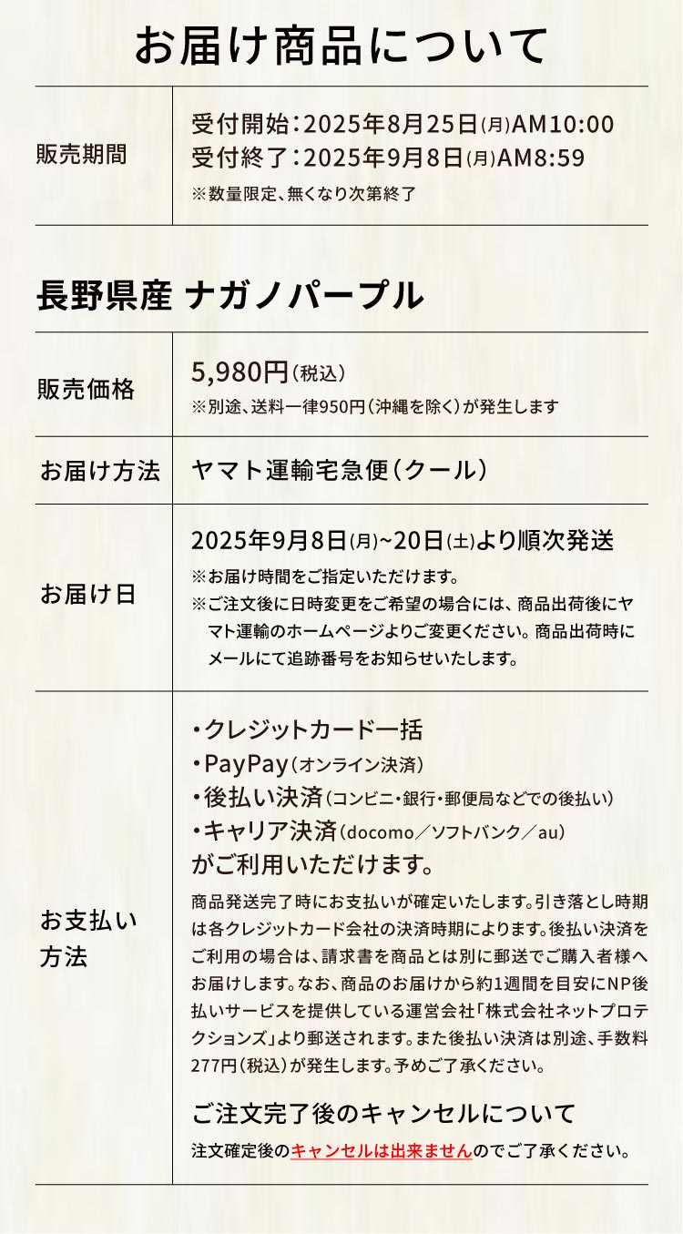 【産地直送】ナガノパープル 2房（長野県産）