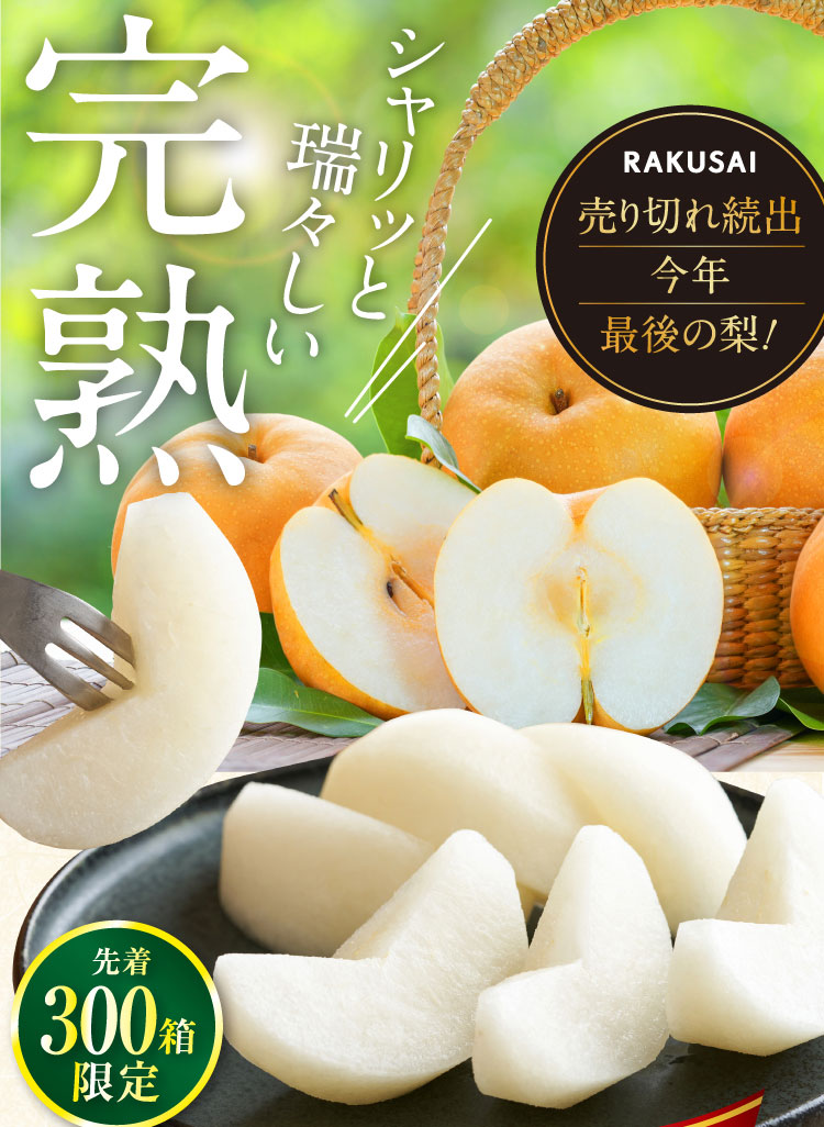 【バイヤー厳選】信州育ちの南水梨 約2.5kg（南信州）