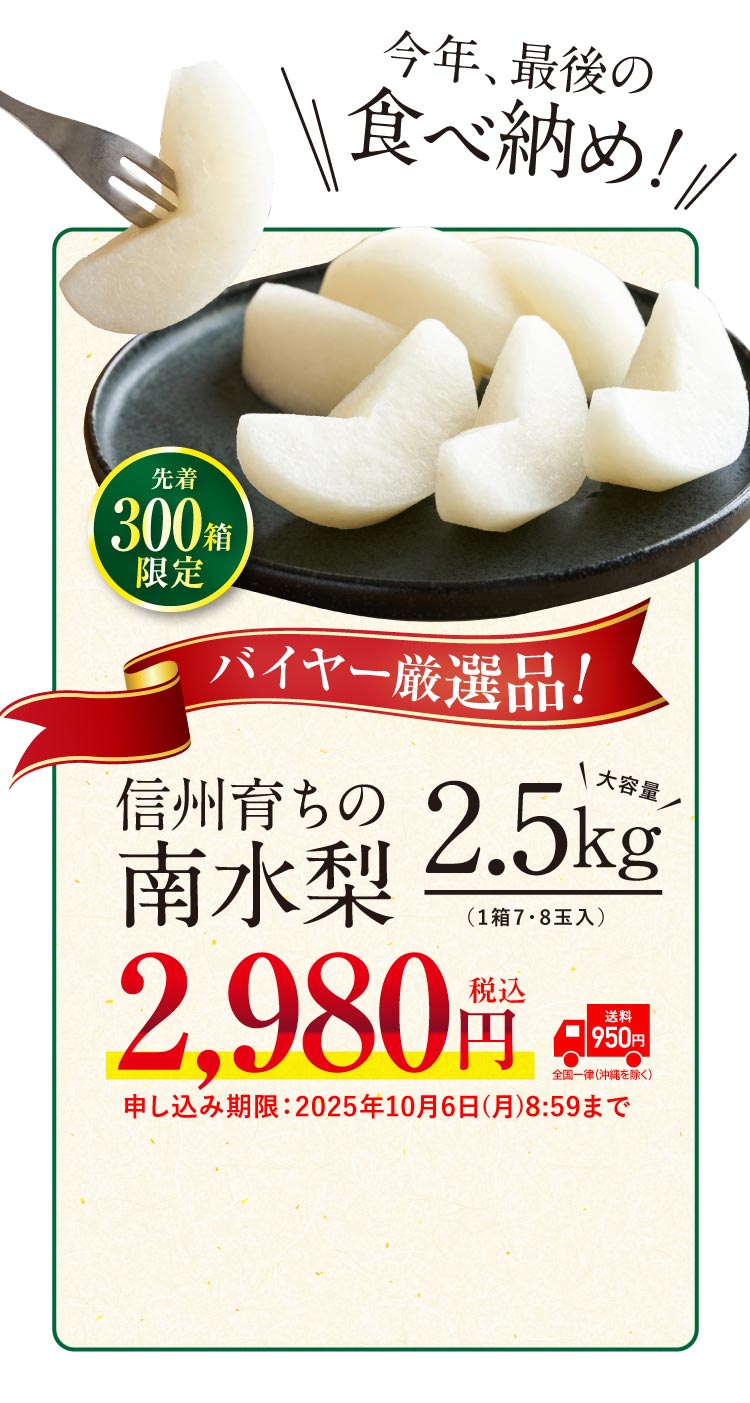 【バイヤー厳選】信州育ちの南水梨 約2.5kg（南信州）